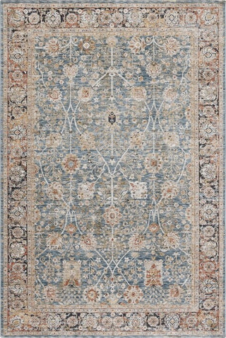 Safavieh Silverado SVD112 Blue / Rust Area Rug