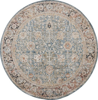 Safavieh Silverado SVD112 Blue / Rust Area Rug