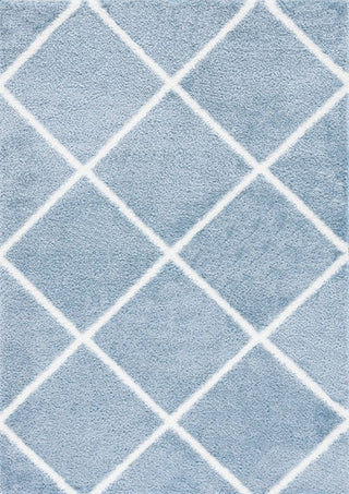 Safavieh Tahoe Shag THO676M Blue / White Area Rug main image