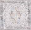 Safavieh Tucson TSN102 Beige / Grey Machine Washable Area Rug