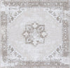 Safavieh Tucson TSN102 Sage / Ivory Machine Washable Area Rug