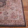 Safavieh Tucson TSN111 Dark Grey / Beige Machine Washable Area Rug