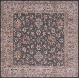 Safavieh Tucson TSN111 Dark Grey / Beige Machine Washable Area Rug