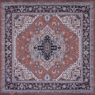 Safavieh Tucson TSN128 Rust / Navy Machine Washable Area Rug