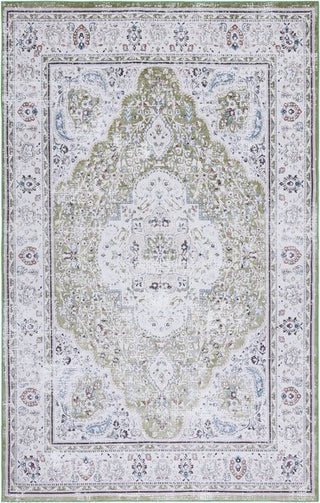 Safavieh Tucson TSN136 Green / Beige Machine Washable Area Rug