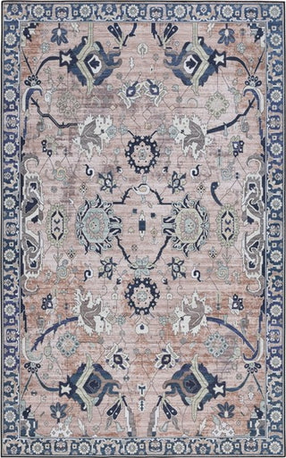 Safavieh Tucson TSN149 Light Blue / Navy Machine Washable Area Rug