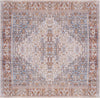 Safavieh Tucson TSN166 Beige / Rust Machine Washable Area Rug