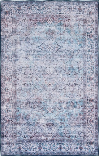 Safavieh Tucson TSN173 Aqua / Pink Machine Washable Area Rug