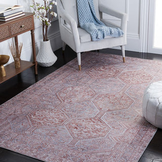 Safavieh Tucson TSN180 Grey / Rust Machine Washable Area Rug