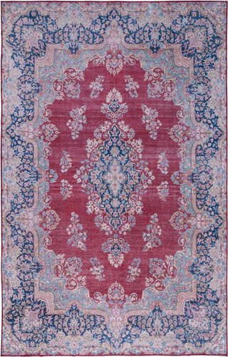 Safavieh Tucson TSN182 Red / Navy Machine Washable Area Rug