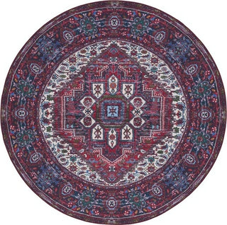 Safavieh Tucson TSN192 Red / Blue Machine Washable Area Rug