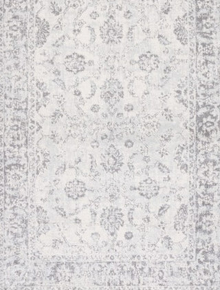 Safavieh Tulum TUL281C Ivory / Grey Area Rug main image