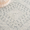 Safavieh Textural TXT302W Sage / Ivory Area Rug Detail