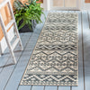 Safavieh Veranda VER095-3413 Beige / Grey Area Rug Room Scene Feature