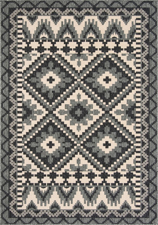 Safavieh Veranda VER096-3435 Grey / Beige Area Rug main image