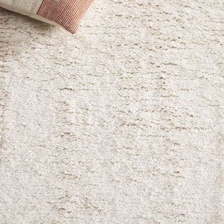 Safavieh Vermont VRM224B Ivory / Beige Area Rug Detail