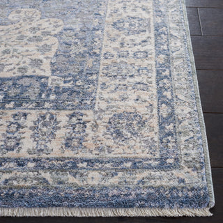 Safavieh Winston WNT198M Blue / Creme Area Rug Detail