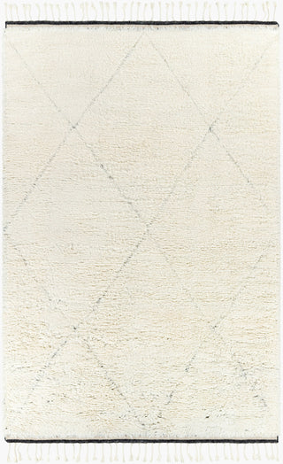 Surya Sahara SAH-2302 Area Rug main image