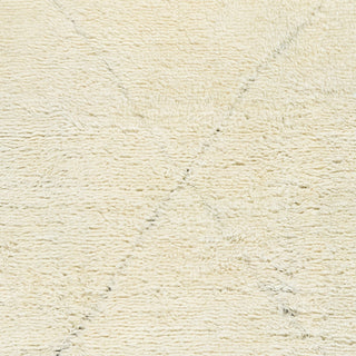 Surya Sahara SAH-2302 Area Rug Swatch