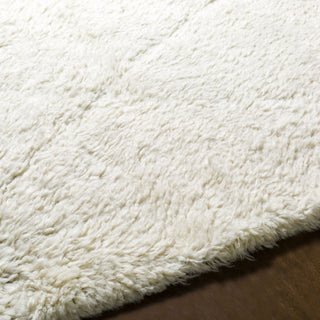 Surya Sahara SAH-2302 Area Rug Detail
