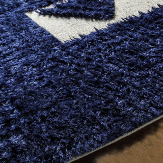 Surya Sahara SAH-2303 Area Rug Detail