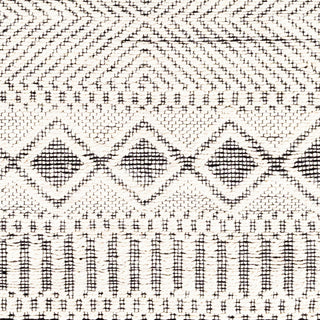 Surya Santa Barbara SBB-2303 Area Rug Swatch