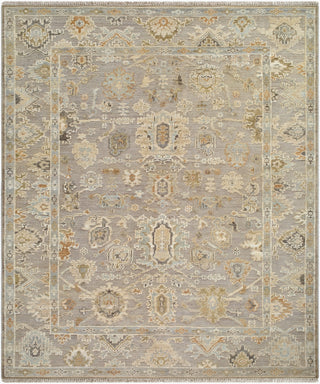 Surya Sinclair SCC-2304 Grey Area Rug Main