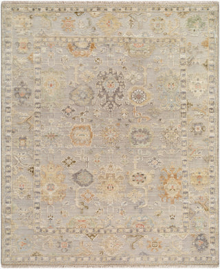 Surya Sinclair SCC-2305 Khaki Area Rug Main