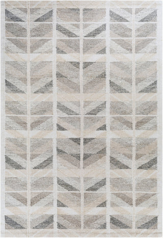 Surya Scandi SCD-2301 Area Rug main image