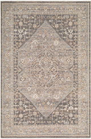 Livabliss Seclusion SCN-2309 Area Rug main image