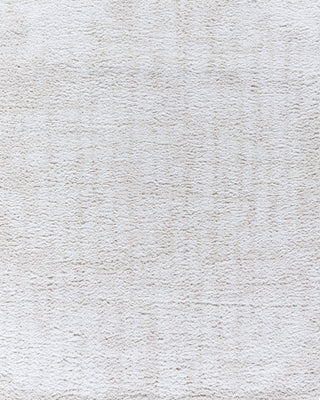 Livabliss Sacramento Shag SCS-2302 White Area Rug main image