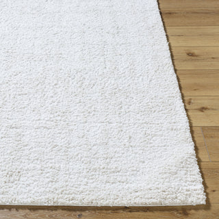 Livabliss Sacramento Shag SCS-2302 White Area Rug Angle