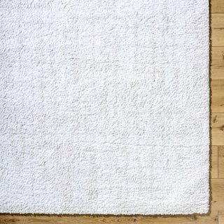 Livabliss Sacramento Shag SCS-2302 White Area Rug Detail Image