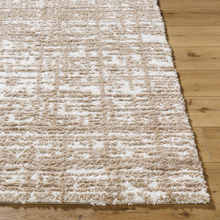 Livabliss Sacramento Shag SCS-2305 White Area Rug Angle