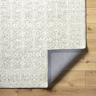 Livabliss Sicily SCY-2303 Light Silver Area Rug Pile