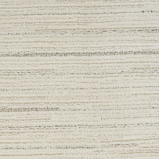 Nourison Santa Cruz SCZ01 Ivory Grey Area Rug Swatch Image