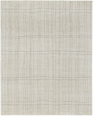 Nourison Santa Cruz SCZ03 Ivory Grey Area Rug main image