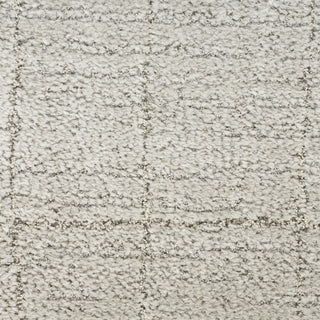 Nourison Santa Cruz SCZ04 Grey Area Rug Swatch Image