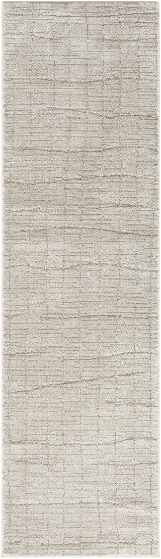 Nourison Santa Cruz SCZ04 Grey Area Rug Runner Image