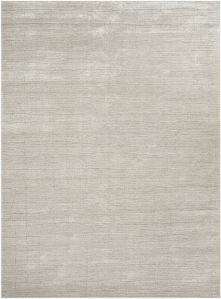 Nourison Santa Cruz SCZ04 Grey Area Rug Main Image