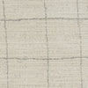 Nourison Santa Cruz SCZ04 Ivory Grey Area Rug Swatch Image