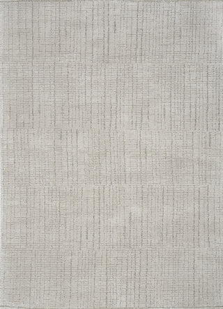 Nourison Santa Cruz SCZ06 Silver Area Rug 6' X 9'