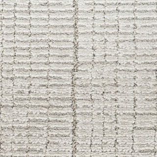 Nourison Santa Cruz SCZ06 Silver Area Rug Swatch Image