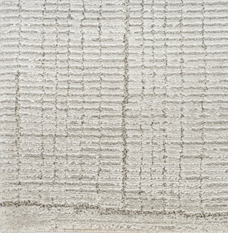 Nourison Santa Cruz SCZ06 Silver Area Rug Texture Image