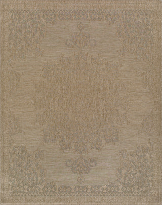 Livabliss Sandra SDR-2300 Area Rug by Surya Main