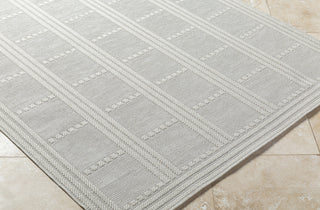 Livabliss Sandra SDR-2301 Light Silver Area Rug Corner Shot