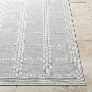 Livabliss Sandra SDR-2301 Light Silver Area Rug Angle