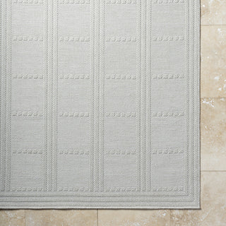 Livabliss Sandra SDR-2301 Light Silver Area Rug Detail Image