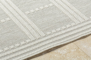 Livabliss Sandra SDR-2301 Light Silver Area Rug Detail