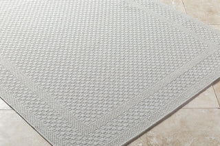 Livabliss Sandra SDR-2302 Light Silver Area Rug Corner Shot